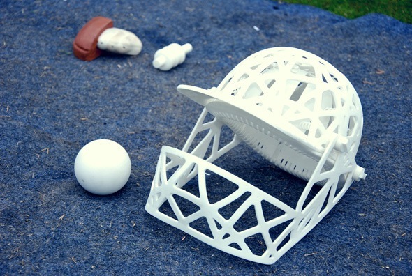 The First Ever Fusion of Cricket and 3D Printing